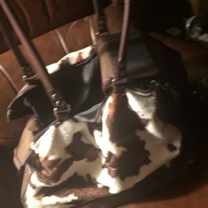 Doggy carrier case